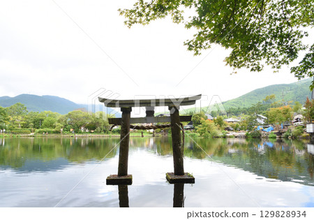 Lake Kinrin and torii gates in Yufuin, Oita Prefecture in early summer Lake Kinrin and torii gates in Yufuin, Oita Prefecture in early summer 129828934
