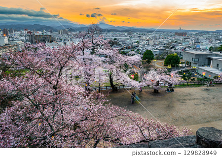 Tottori Castle Ruins (Hisamatsu Park) Cherry blossoms in Uzennomaru and Tottori city at dusk 129828949