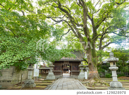 鳥居八幡宮:參道與樓門 鳥居八幡宮:參道與樓門 129828978