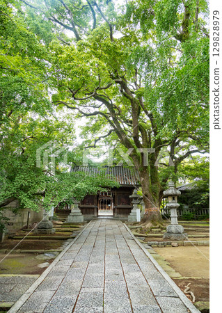 鳥居八幡宮:參道與樓門 鳥居八幡宮:參道與樓門 129828979