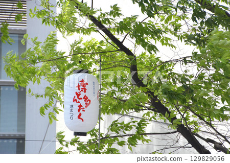 博多咚打鼓燈籠與新綠 博多咚打鼓燈籠與新綠 129829056