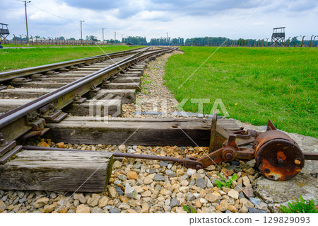 Auschwitz-Birkenau Railway Tracks 129829093