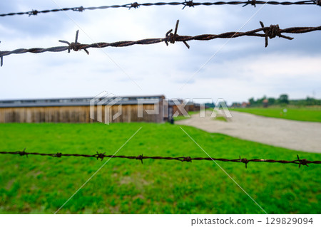 Barbed Wire and Barracks at Auschwitz-Birkenau 129829094
