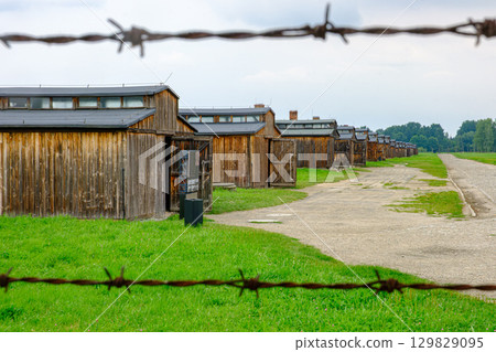Row of Wooden Barracks at Auschwitz-Birkenau 129829095