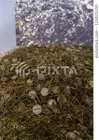 Pile of Eyeglasses at Auschwitz Museum 129829100