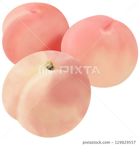 三個看起來很美味的桃子排成一排 三個看起來很美味的桃子排成一排 129829557