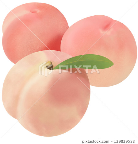 三個桃子，葉子排成一排 129829558