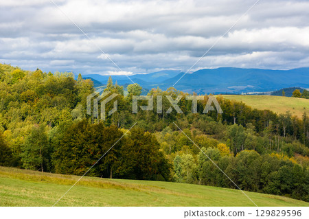 beautiful early autumn forenoon in mountains. trees on the rolling hills. wonderful countryside of ukraine in dappled light beautiful early autumn forenoon in mountains. trees on the rolling hills. wonderful countryside of ukraine in dappled light 129829596