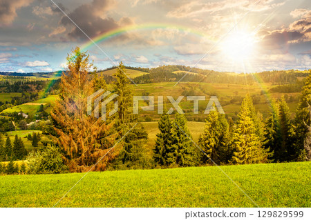 mountainous carpathian countryside landscape at sunset. scenic rural valley. grassy alpine meadow under rainbow. forest on hill. vacations in highlands in evening light mountainous carpathian countryside landscape at sunset. scenic rural valley. grassy alpine meadow under rainbow. forest on hill. vacations in highlands in evening light 129829599