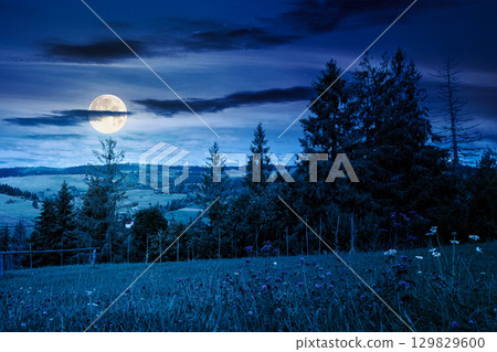 countryside landscape with green field in autumn at night. alpine scenery with grassy herb meadow near mountain range in full moon light. forested hills in the distance countryside landscape with green field in autumn at night. alpine scenery with grassy herb meadow near mountain range in full moon light. forested hills in the distance 129829600