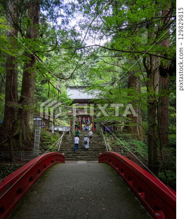 Fresh greenery in Hanazono Valley, Kitaibaraki City, Ibaraki Prefecture 129829815