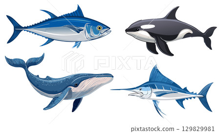 鮪魚、箭魚、鯨魚和虎鯨的插圖 129829981