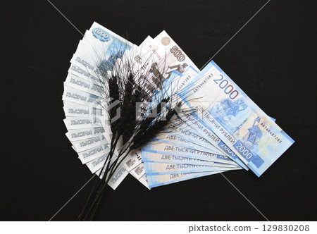 ears of wheat of black color on a fan of Russian rubles on a black background 129830208