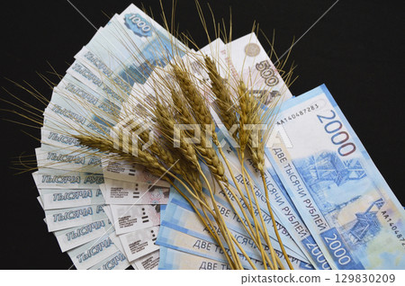 Ears of ripe wheat on a fan of Russian rubles on a black background 129830209
