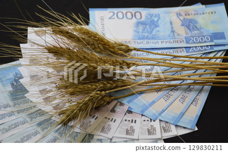 Ears of ripe wheat on a fan of Russian rubles on a black background 129830211