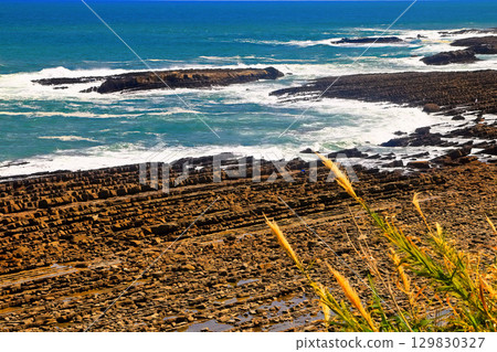 [Miyazaki Prefecture] Washboard (Demon's Washboard) on the Nichinan Coast seen from the roadside station Phoenix Observatory 129830327