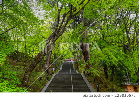 談山神社 - 一組傳承砥峰歷史與傳統的神社建築群 129830675