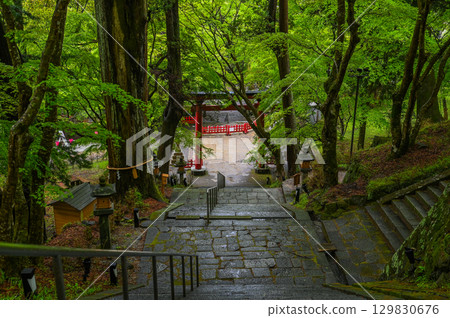 談山神社 - 一組傳承砥峰歷史與傳統的神社建築群 129830676