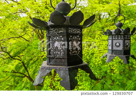Tanzan Shrine - A group of shrine buildings that convey the history and traditions of Mt. Tonomine 129830707