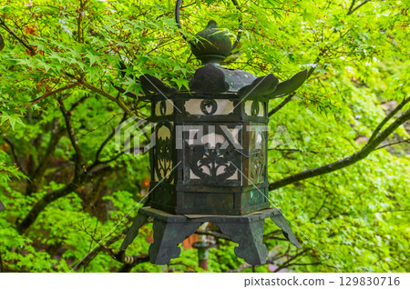 Tanzan Shrine - A group of shrine buildings that convey the history and traditions of Mt. Tonomine Tanzan Shrine - A group of shrine buildings that convey the history and traditions of Mt. Tonomine 129830716