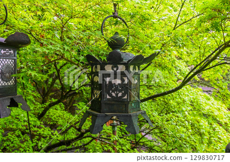 Tanzan Shrine - A group of shrine buildings that convey the history and traditions of Mt. Tonomine Tanzan Shrine - A group of shrine buildings that convey the history and traditions of Mt. Tonomine 129830717