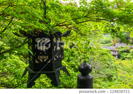 談山神社 - 一組傳承砥峰歷史與傳統的神社建築群 129830721