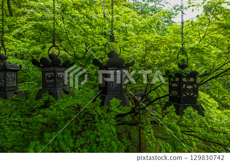 Tanzan Shrine - A group of shrine buildings that convey the history and traditions of Mt. Tonomine Tanzan Shrine - A group of shrine buildings that convey the history and traditions of Mt. Tonomine 129830742