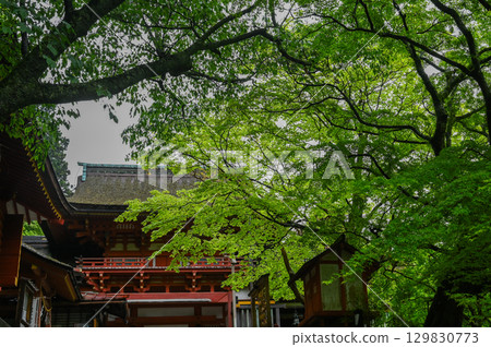 談山神社 - 一組傳承砥峰歷史與傳統的神社建築群 談山神社 - 一組傳承砥峰歷史與傳統的神社建築群 129830773