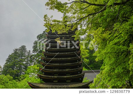 Tanzan Shrine - A group of shrine buildings that convey the history and traditions of Mt. Tonomine 129830779
