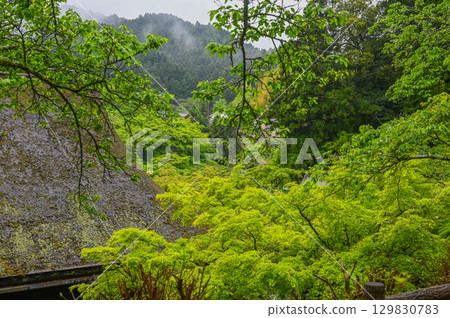 談山神社 - 一組傳承砥峰歷史與傳統的神社建築群 談山神社 - 一組傳承砥峰歷史與傳統的神社建築群 129830783