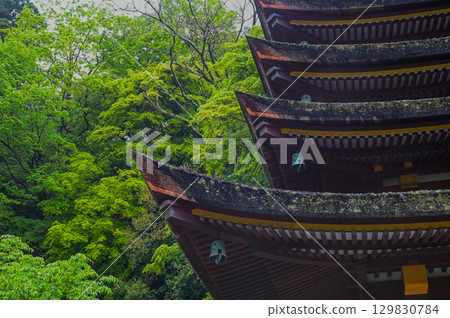 談山神社 - 一組傳承砥峰歷史與傳統的神社建築群 129830784