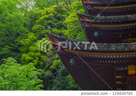 談山神社 - 一組傳承砥峰歷史與傳統的神社建築群 129830785