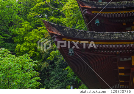 談山神社 - 一組傳承砥峰歷史與傳統的神社建築群 129830786