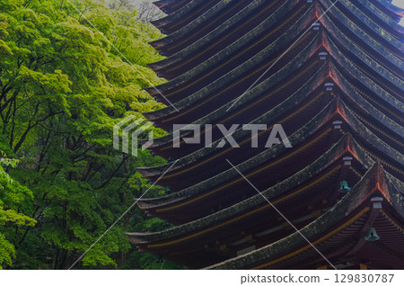 Tanzan Shrine - A group of shrine buildings that convey the history and traditions of Mt. Tonomine 129830787