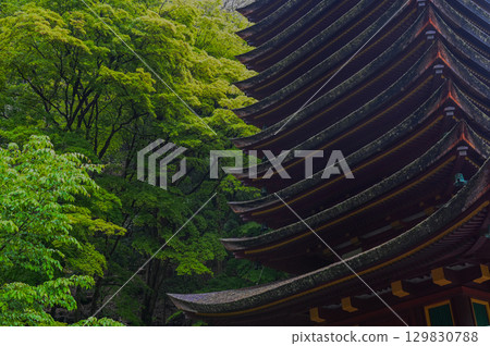 談山神社 - 一組傳承砥峰歷史與傳統的神社建築群 129830788