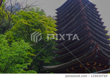 談山神社 - 一組傳承砥峰歷史與傳統的神社建築群 129830789