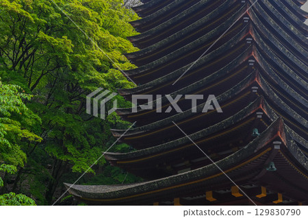 談山神社 - 一組傳承砥峰歷史與傳統的神社建築群 129830790