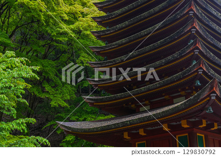 談山神社 - 一組傳承砥峰歷史與傳統的神社建築群 129830792