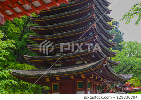 Tanzan Shrine - A group of shrine buildings that convey the history and traditions of Mt. Tonomine Tanzan Shrine - A group of shrine buildings that convey the history and traditions of Mt. Tonomine 129830794