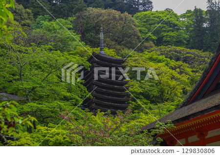 Tanzan Shrine - A group of shrine buildings that convey the history and traditions of Mt. Tonomine Tanzan Shrine - A group of shrine buildings that convey the history and traditions of Mt. Tonomine 129830806