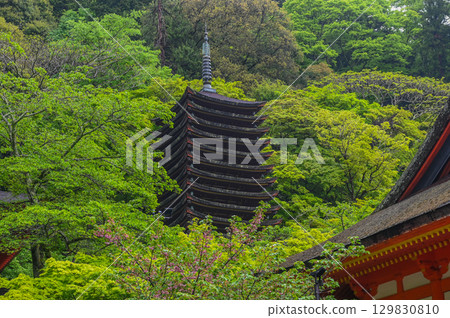 Tanzan Shrine - A group of shrine buildings that convey the history and traditions of Mt. Tonomine Tanzan Shrine - A group of shrine buildings that convey the history and traditions of Mt. Tonomine 129830810