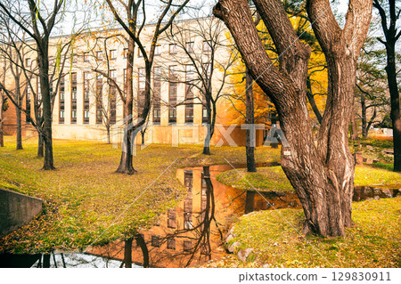 北海道大學札幌校區的秋日風景 129830911