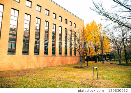北海道大學札幌校區的秋日風景 129830912