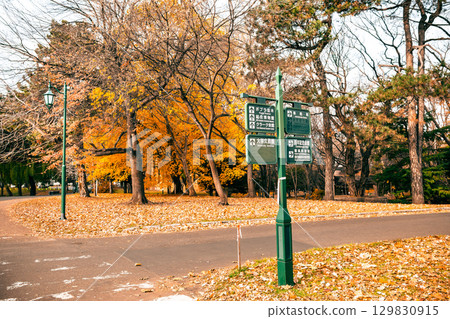 北海道大學札幌校區的秋日風景 北海道大學札幌校區的秋日風景 129830915