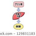 Purine metabolism 129831183