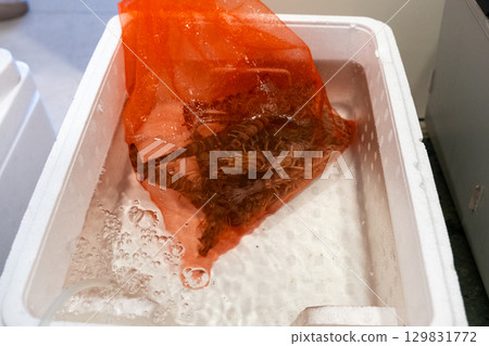 [#Ingredients] Prawns 129831772