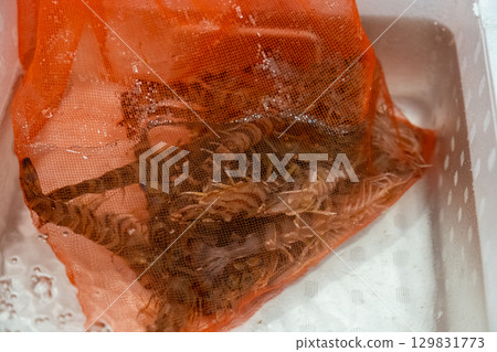 [#Ingredients] Prawns 129831773
