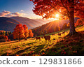 a group of deer grazing 129831866
