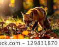 a fox  in the undergrowth with autumn colors at sunset 129831870