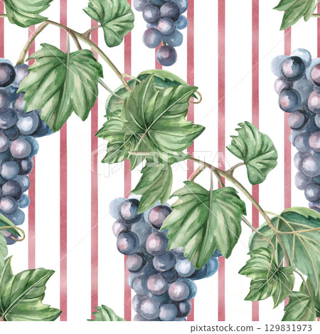 Seamless pattern with diagonal grape vines on striped background. Watercolor illustration in realistic style for packaging design, wine list, printing on kitchen textiles and fabric. 129831973